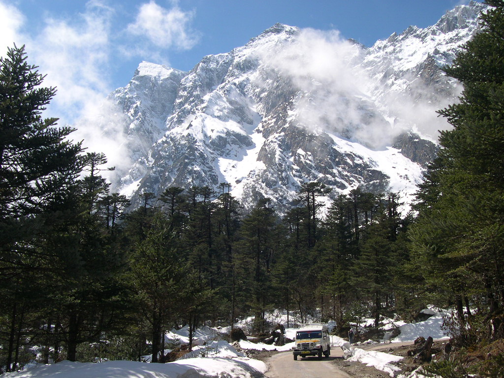 Sikkim View