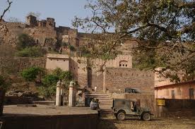 Ranthambore national park