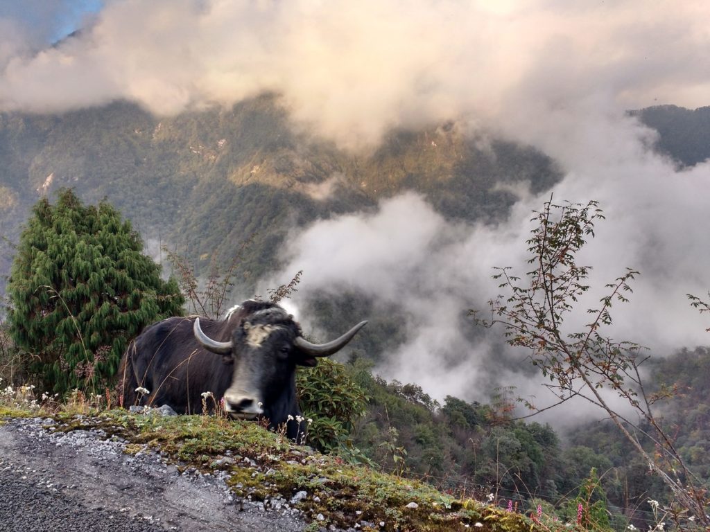 Gangtok Tour