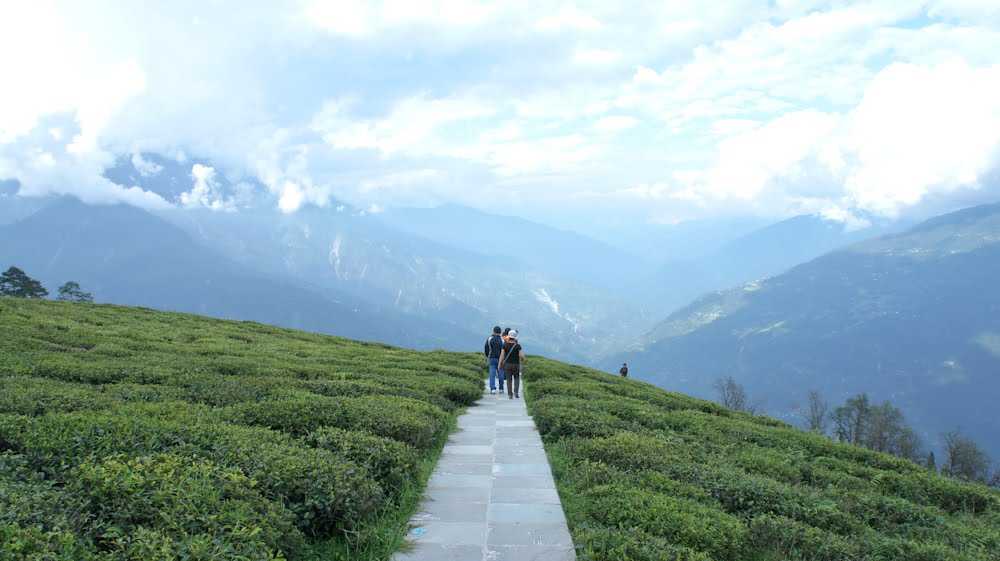 sikkim tedong hill tour