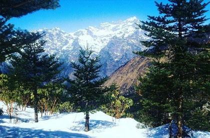 sikkim lachung travels guide
