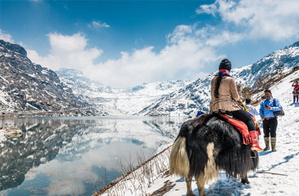 sikkim changu lake