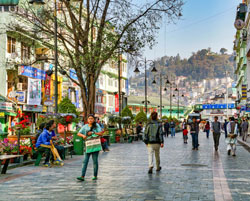 darjeeling gangtok tour
