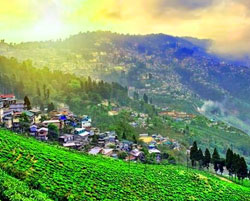 darjeeling gangtok kalimpong tour