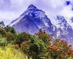 gangtok kalimpong tour