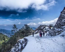 north darjeeling tours
