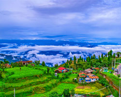 north darjeeling tour package