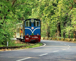 gangtok pelling tours