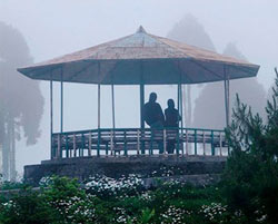 darjeeling gangtok honeymoon tour package