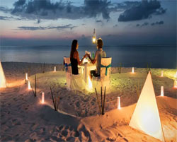 gangtok honeymoon tour package