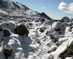lachung tours package