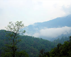 lava loleygaon tour