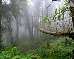 lava loleygaon tours