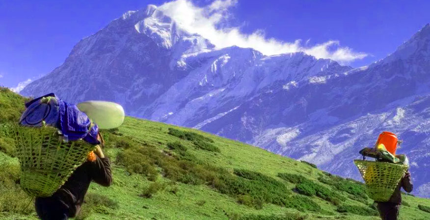 dzongri yuksom trail