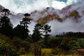 sikkim lachen tour