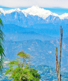 loleygaon tour