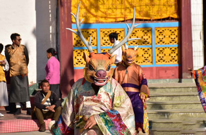 sikkim losoong festival