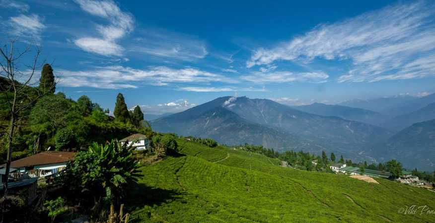 pelling tour