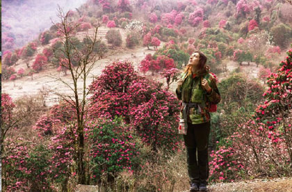 sikkim shingba sanctuary