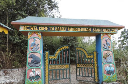 sikkim varsey trek
