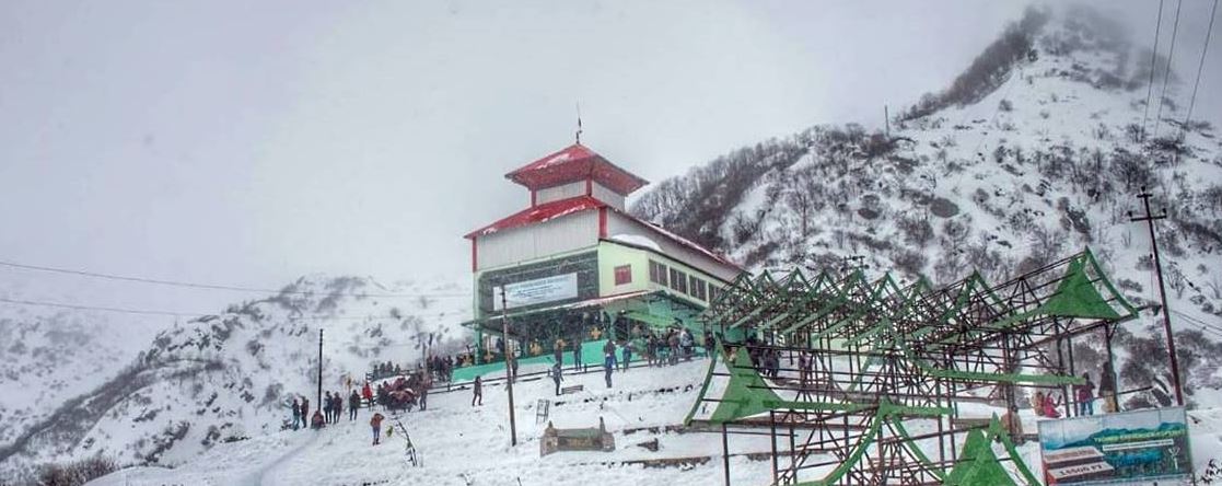 Flower Bonanza in Sikkim Tour