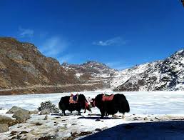 kolkata to north sikkim tour packages